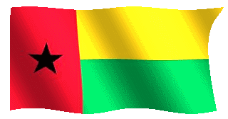 gubisflag